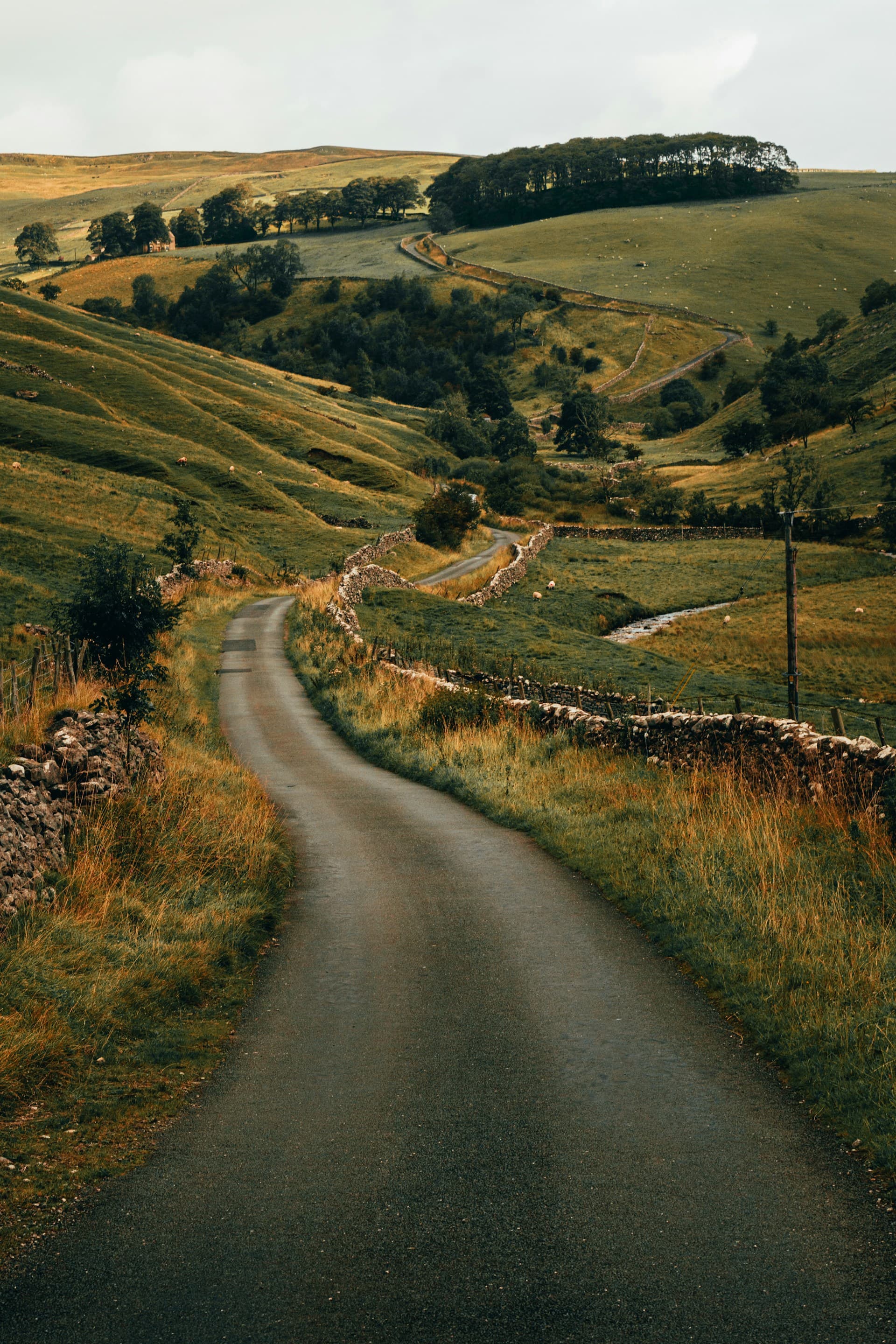 A footpath leading out across open country