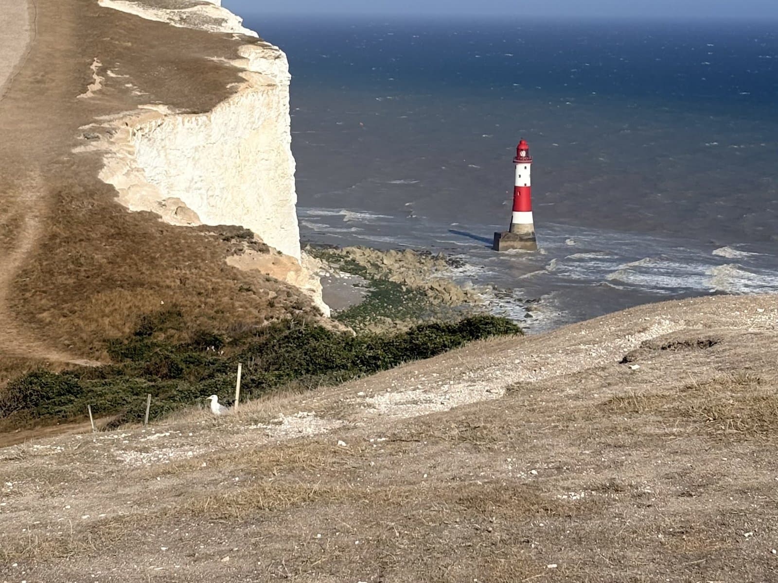 Chalk cliffs and the lighthouse from the downs