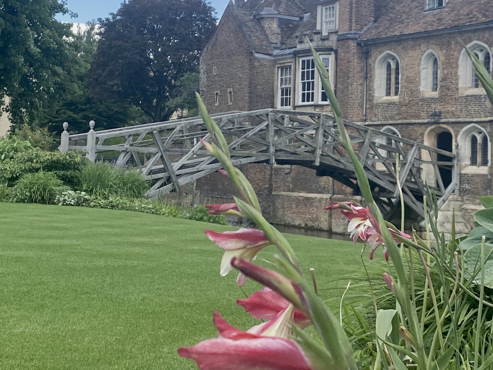 College lawns and the Mathematical Bridge