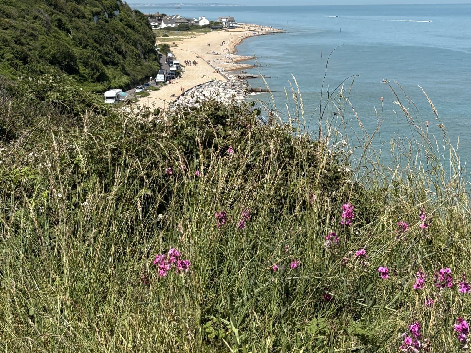 A shingle beach below the green clifftops near Deal