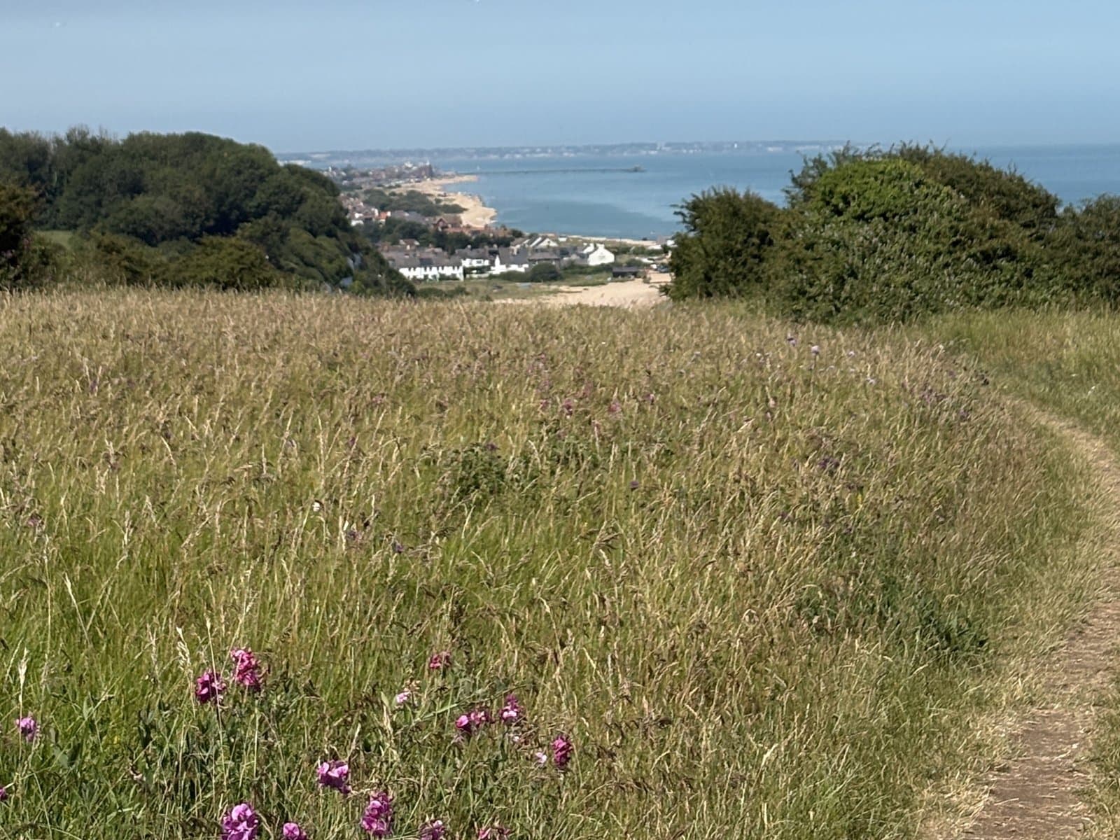 A clifftop path through wildflowers above the sea near Deal