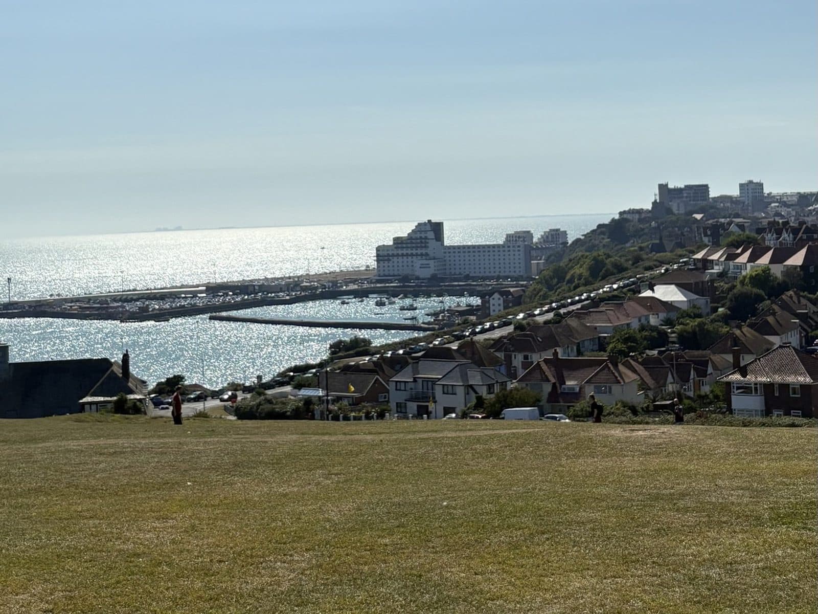 Folkestone and its harbour from the East Cliff above Copt Point