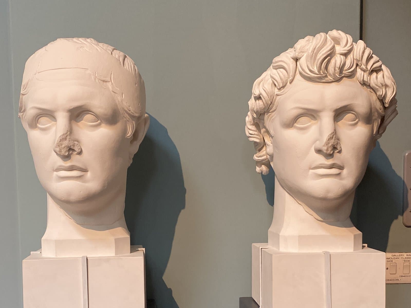 Classical marble heads in the Ashmolean