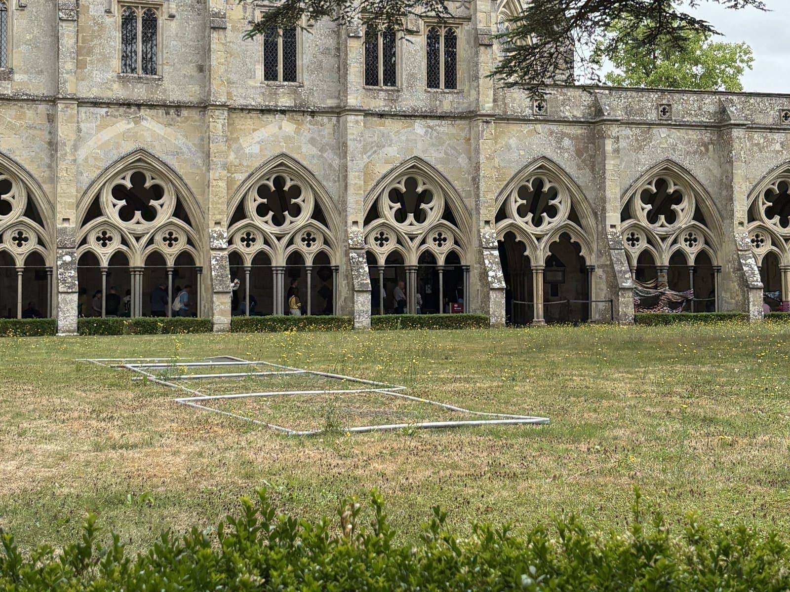 The cathedral cloisters and a great cedar