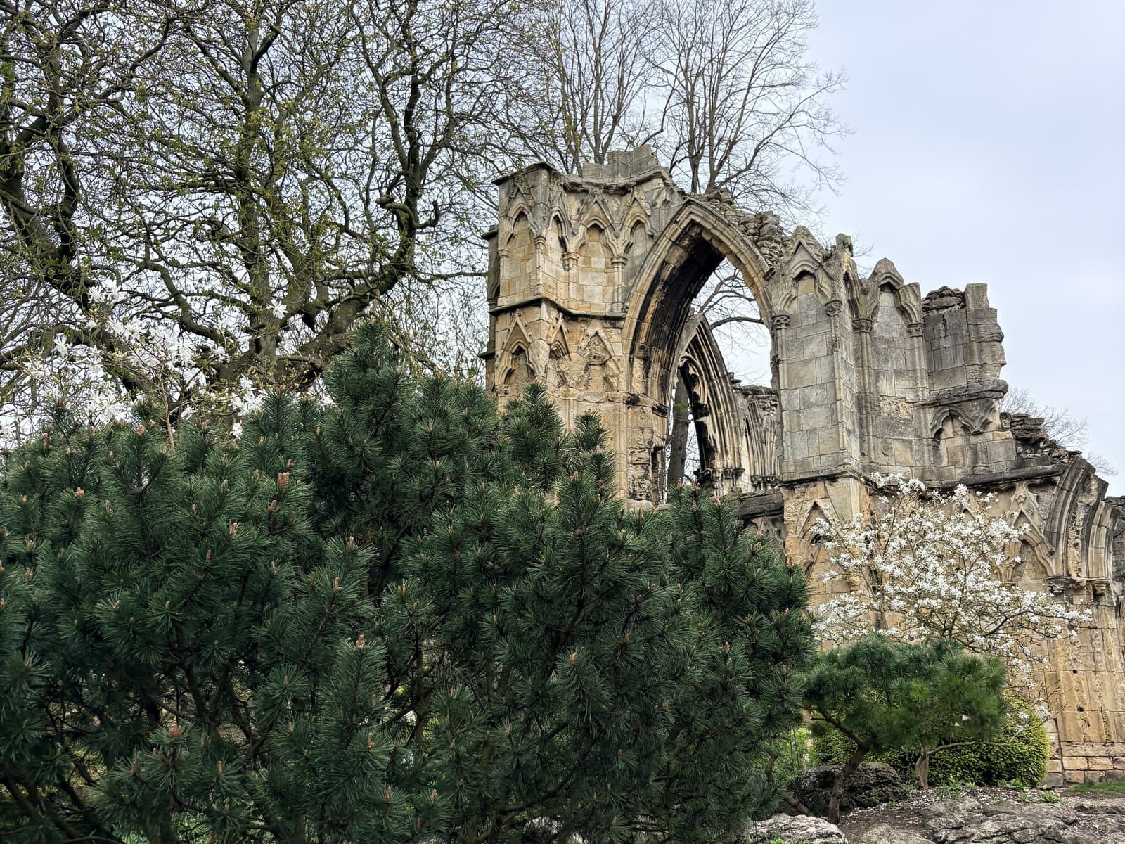 The ruins of St Mary's Abbey in the Museum Gardens