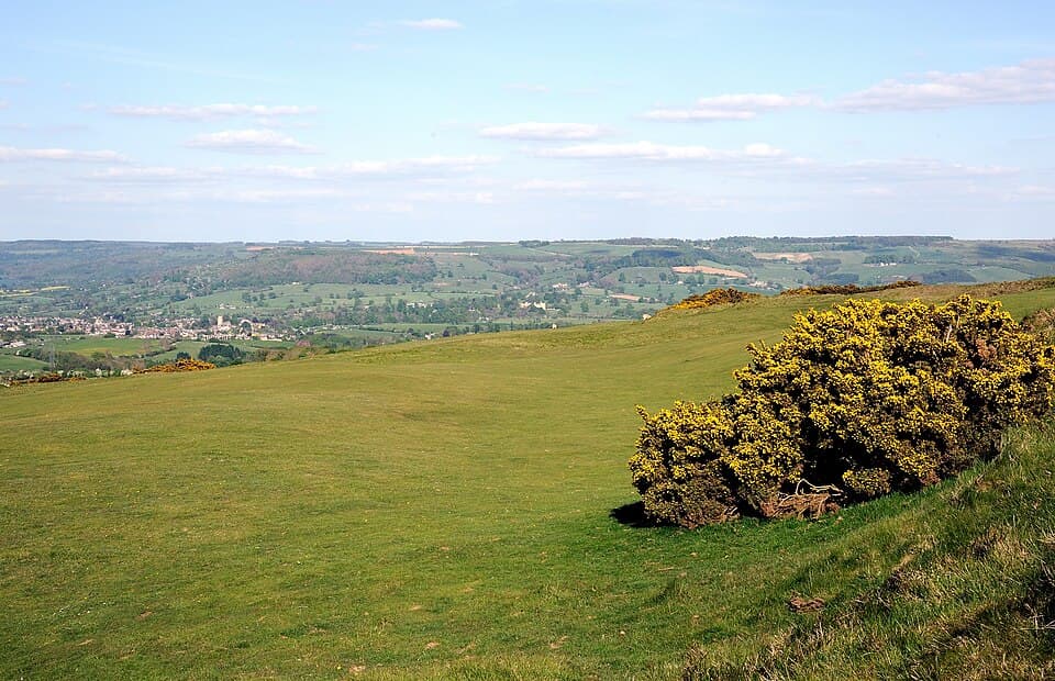 Cleeve Common